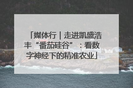 媒体行｜走进凯盛浩丰“番茄硅谷”：看数字神经下的精准农业