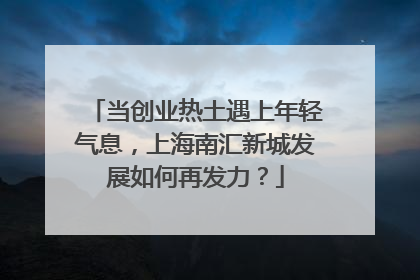 当创业热土遇上年轻气息，上海南汇新城发展如何再发力？