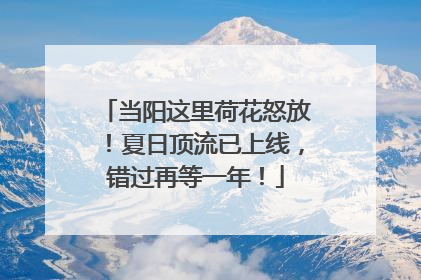 当阳这里荷花怒放！夏日顶流已上线，错过再等一年！