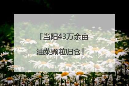 当阳43万余亩油菜颗粒归仓