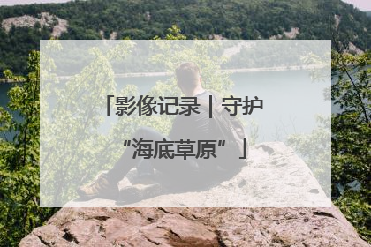 影像记录｜守护“海底草原”