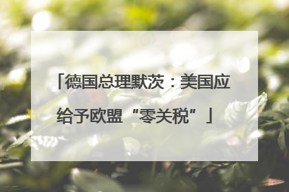 德国总理默茨：美国应给予欧盟“零关税”