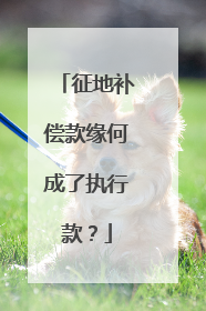 征地补偿款缘何成了执行款？