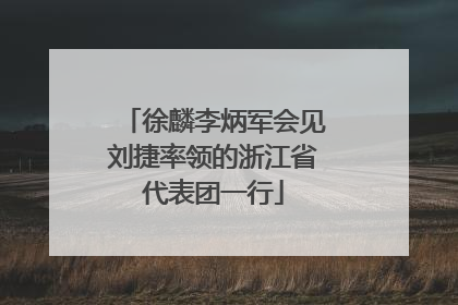 徐麟李炳军会见刘捷率领的浙江省代表团一行