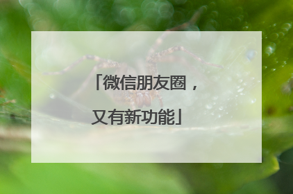 微信朋友圈，又有新功能