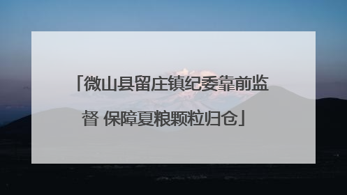 微山县留庄镇纪委靠前监督 保障夏粮颗粒归仓
