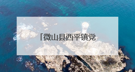 微山县西平镇党建引领打造家门口“就业圈”