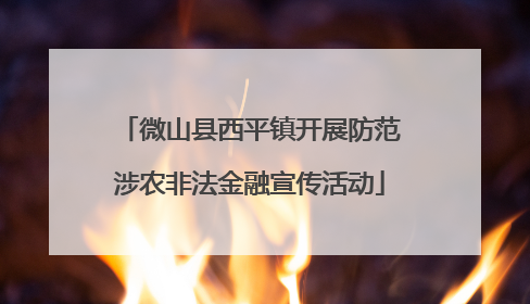 微山县西平镇开展防范涉农非法金融宣传活动