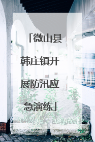 微山县韩庄镇开展防汛应急演练