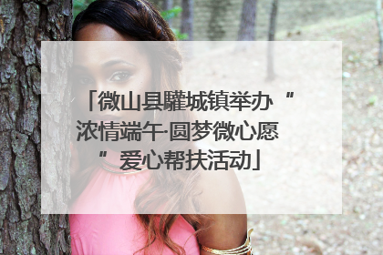 微山县驩城镇举办“浓情端午·圆梦微心愿”爱心帮扶活动