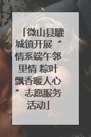 微山县驩城镇开展“情系端午邻里情 粽叶飘香暖人心”志愿服务活动