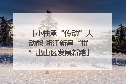 小轴承“传动”大动能 浙江新昌“拼”出山区发展新路