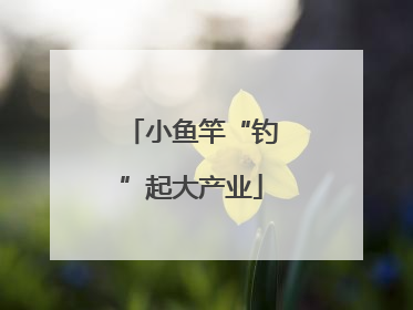 小鱼竿“钓”起大产业