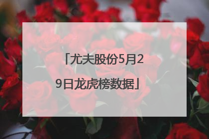 尤夫股份5月29日龙虎榜数据