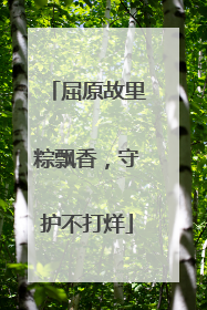 屈原故里粽飘香，守护不打烊