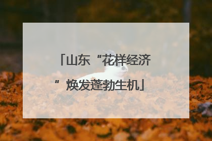 山东“花样经济”焕发蓬勃生机