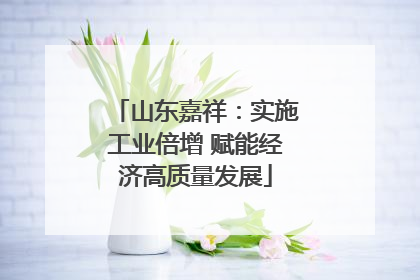 山东嘉祥：实施工业倍增 赋能经济高质量发展