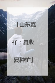 山东嘉祥：夏收夏种忙