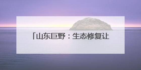 山东巨野：生态修复让废弃矿山变绿水青山