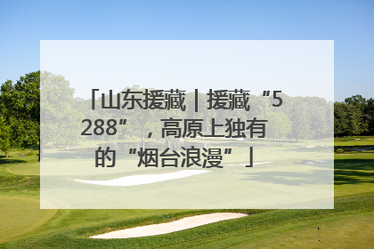 山东援藏｜援藏“5288”，高原上独有的“烟台浪漫”