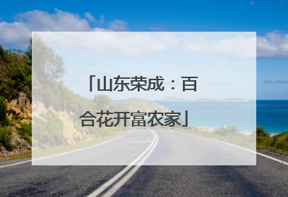 山东荣成：百合花开富农家