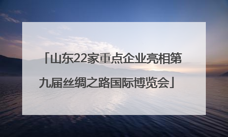 山东22家重点企业亮相第九届丝绸之路国际博览会