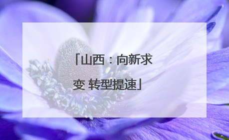 山西：向新求变 转型提速