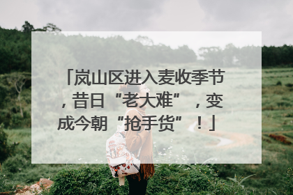 岚山区进入麦收季节，昔日“老大难”，变成今朝“抢手货”！