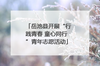 岳池县开展“行践青春 童心同行”青年志愿活动