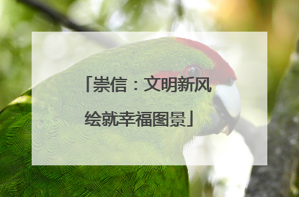 崇信：文明新风绘就幸福图景