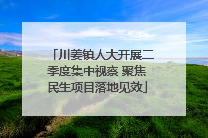 川姜镇人大开展二季度集中视察 聚焦民生项目落地见效