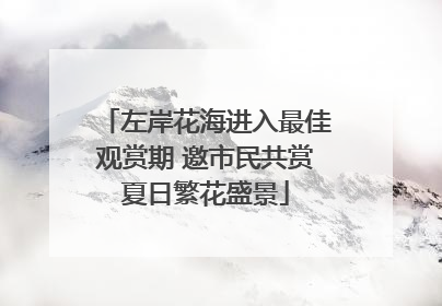 左岸花海进入最佳观赏期 邀市民共赏夏日繁花盛景