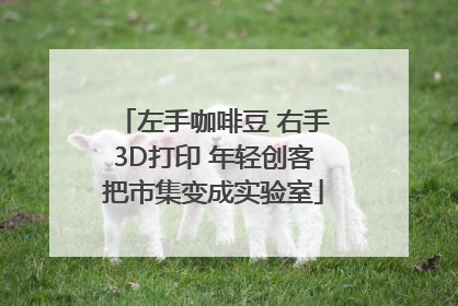 左手咖啡豆 右手3D打印 年轻创客把市集变成实验室