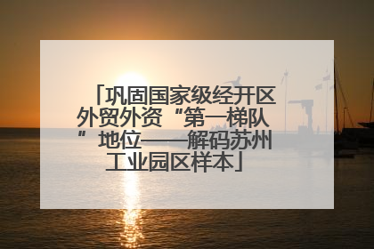 巩固国家级经开区外贸外资“第一梯队”地位——解码苏州工业园区样本