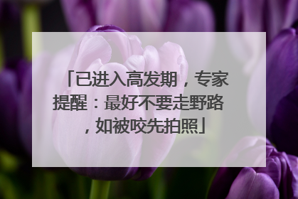 已进入高发期，专家提醒：最好不要走野路，如被咬先拍照