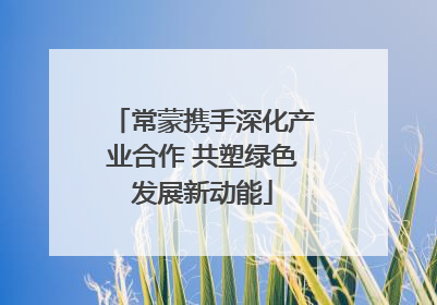 常蒙携手深化产业合作 共塑绿色发展新动能