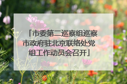 市委第二巡察组巡察市政府驻北京联络处党组工作动员会召开