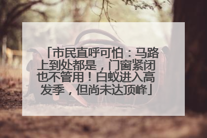 市民直呼可怕：马路上到处都是，门窗紧闭也不管用！白蚁进入高发季，但尚未达顶峰