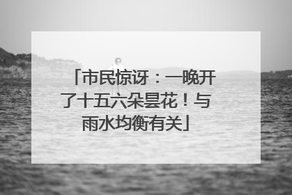 市民惊讶：一晚开了十五六朵昙花！与雨水均衡有关