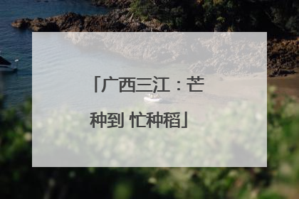 广西三江：芒种到 忙种稻