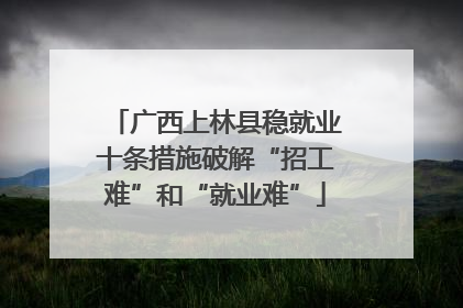 广西上林县稳就业十条措施破解“招工难”和“就业难”