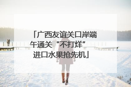 广西友谊关口岸端午通关“不打烊” 进口水果抢先机