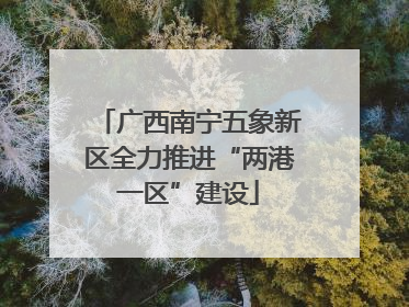 广西南宁五象新区全力推进“两港一区”建设