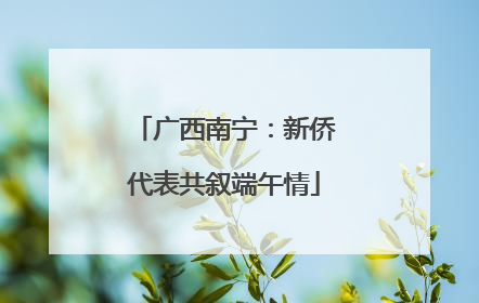 广西南宁：新侨代表共叙端午情