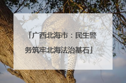 广西北海市：民生警务筑牢北海法治基石