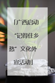 广西启动“记得住乡愁”文化外宣活动