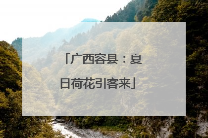 广西容县：夏日荷花引客来