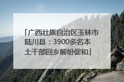 广西壮族自治区玉林市陆川县：3900多名本土干部回乡解纷促和