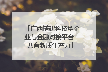 广西搭建科技型企业与金融对接平台 共育新质生产力