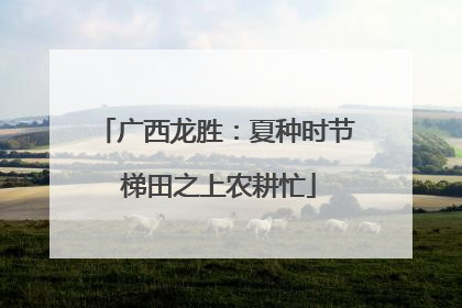 广西龙胜：夏种时节 梯田之上农耕忙